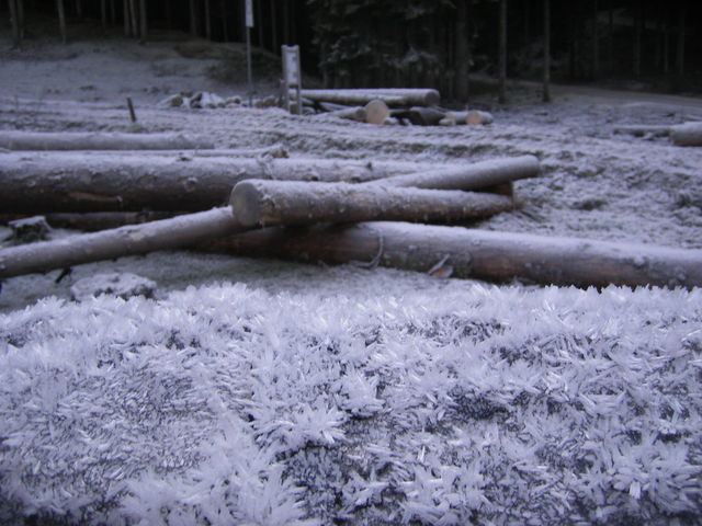 Asiago - niente neve - FOTO fra storia e paesaggi 7161016