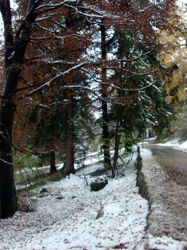 Giornata meteo domenica 8 novembre 2009 67