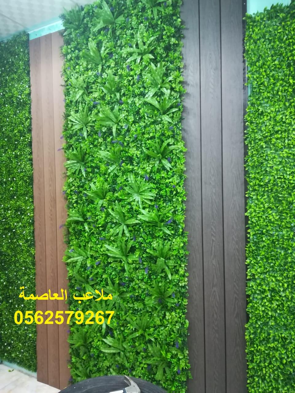 مؤسسه,ملاعب,العاصمة,ديكورات,عشب,صناعي,تركيب,توريد,جملة,عشب,جداري,0562579267 220547042