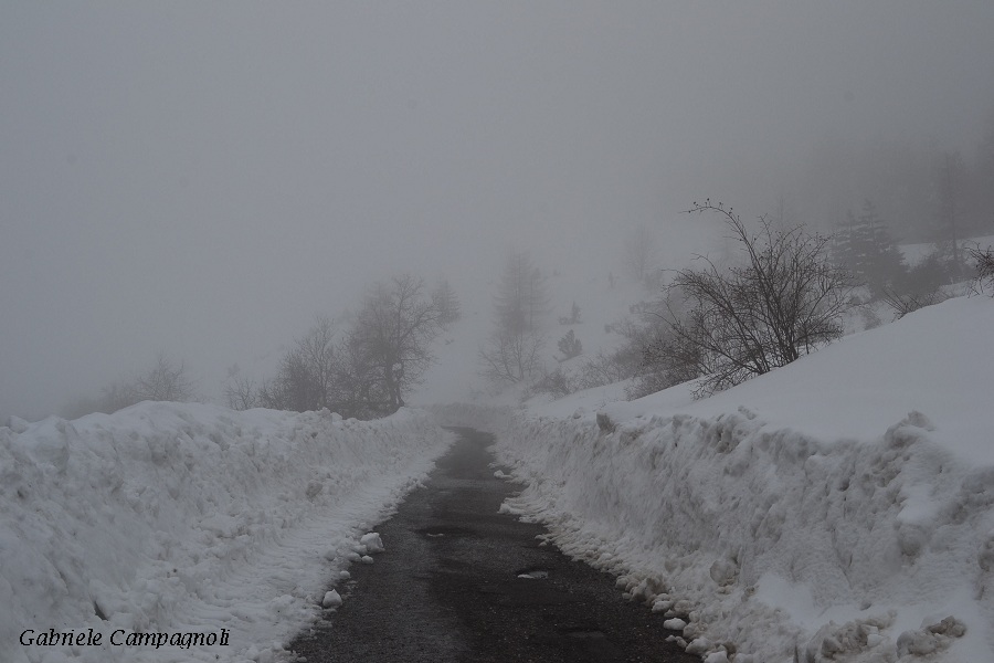 Nivotour Monte Penice (PV) 1400m 29/3/2013 - 1 metro di neve DSC-0128