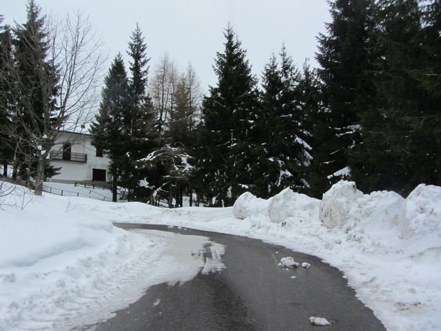 Nivotour Monte Penice (PV) 1400m 29/3/2013 - 1 metro di neve 12549997