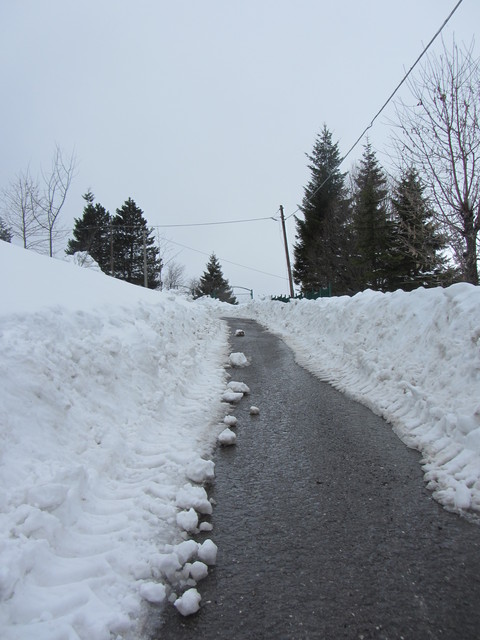 Nivotour Monte Penice (PV) 1400m 29/3/2013 - 1 metro di neve 12550062