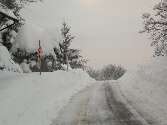 Foto nevona TIGLIETO 7451667