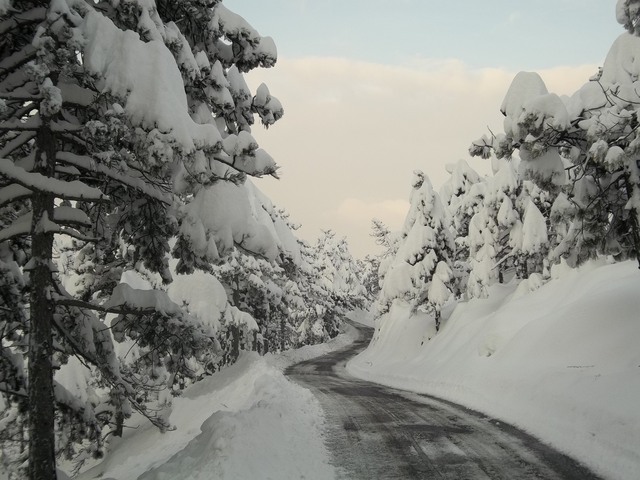 Foto nevona TIGLIETO 7451937