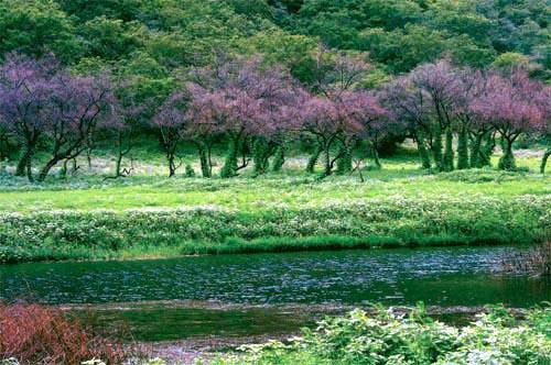 السياحه في سلطنة عمان........ 505881838