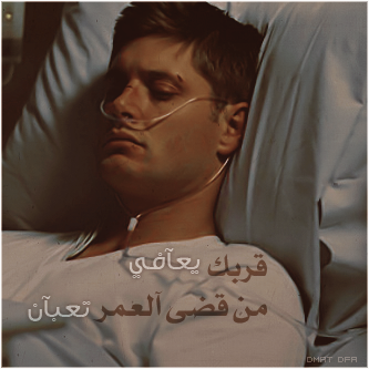 ودي أگون عيونه ..} گل مَايشُوف يْشوفَنيَ °• Jensen Ackles 456009123