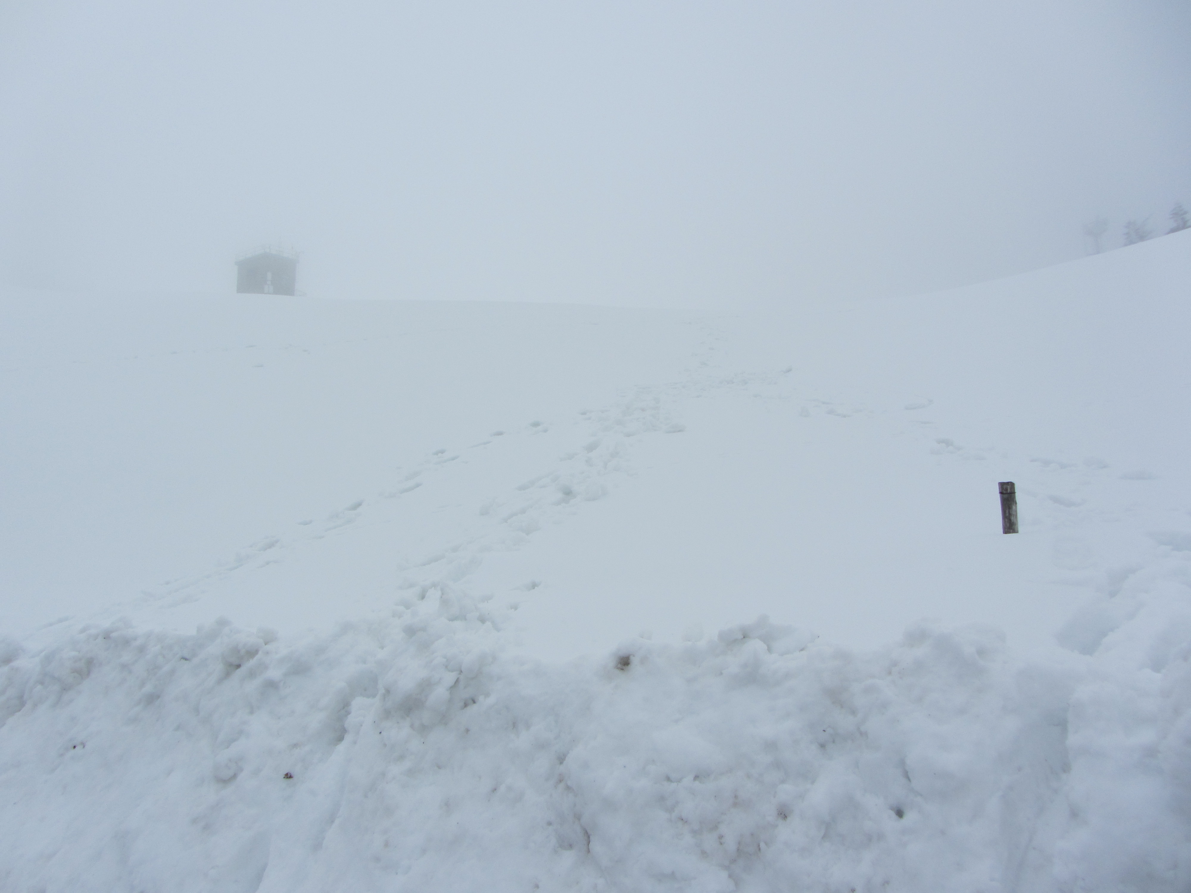 Nivotour Monte Penice (PV) 1400m 29/3/2013 - 1 metro di neve 12550133