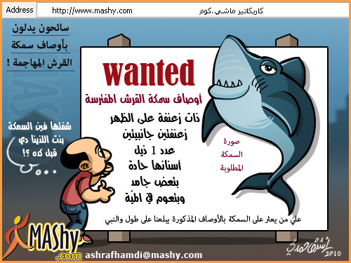 قارقتير !! Wanted_shark
