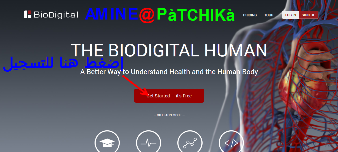 موقع حميل ورائع BioDigital Human  + شرح بالصور 259503074