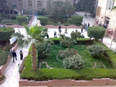 كلية التربية جامعة طنطا  549274734