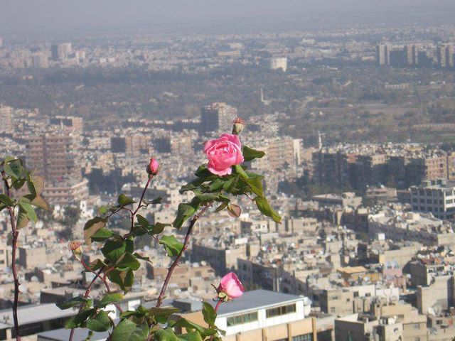 صباح الخير سورية حبيبتي 677213935