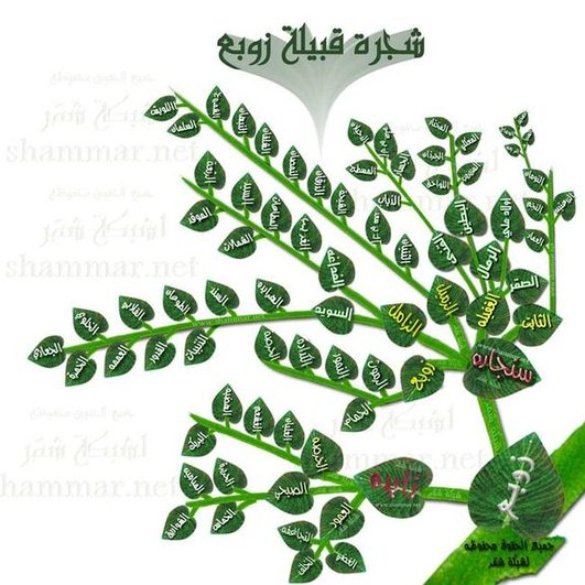 مشجرة زوبع 527879129