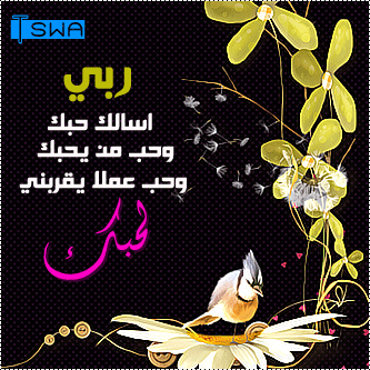 رمزيات اسلامية رآأآآائعة 511242263