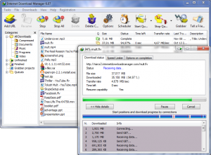 Internet Download Manager مجانا 905292255