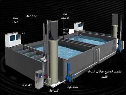 الاستزراع السمكي واشهر محافظات مصر في انتاجه(شركه الجوهري) 975621217