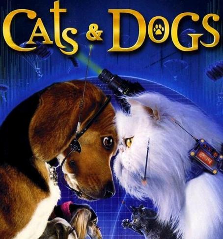 sharing movies - صفحة 5 Cats_vs_dogs-454x485