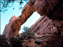 Iconic Stone Arch Collapses in Utah Image4336225g