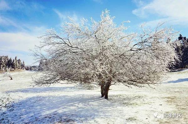 卧槽！仙女山发布2017终极滑雪福利，活动多到你不敢想象！ D6bc7d76ly1flyr7a8vllj20go0b175w