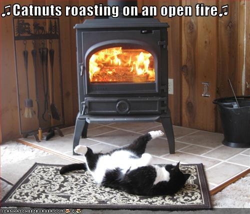 Christmas is coming soon. Funny-pictures-cat-roasts-by-fire