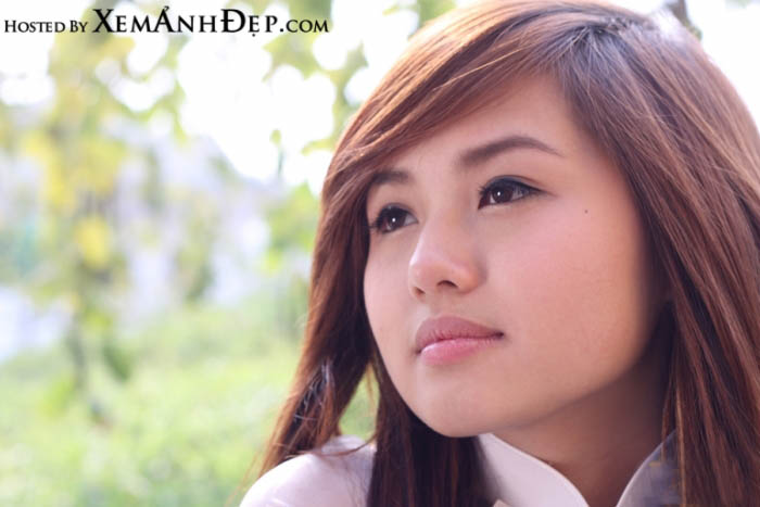 Girl Vietnamese Anh-girl-xinh108