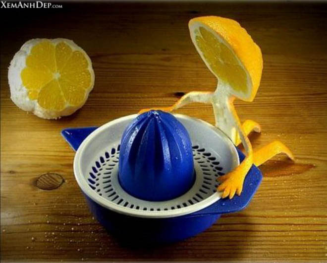 Creative pictures from fruits