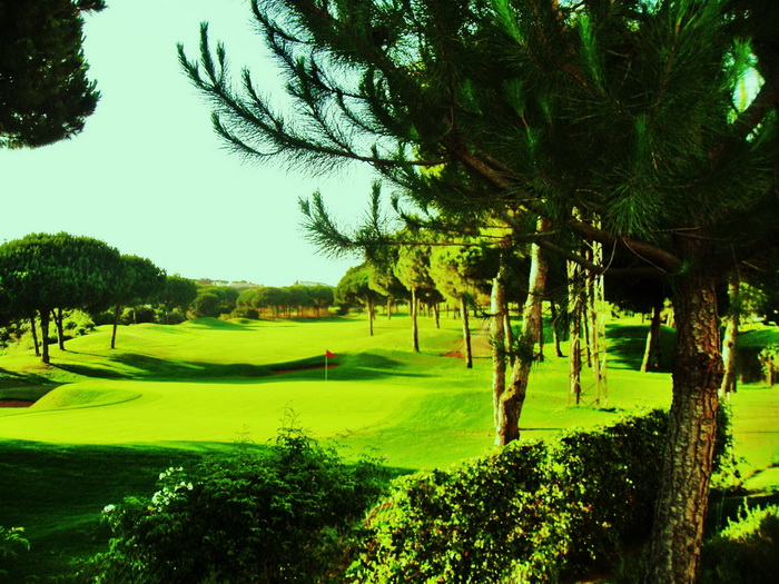 ملعب قولف ساحر جدا طبيعة اكتر من رائعة Golf-course12