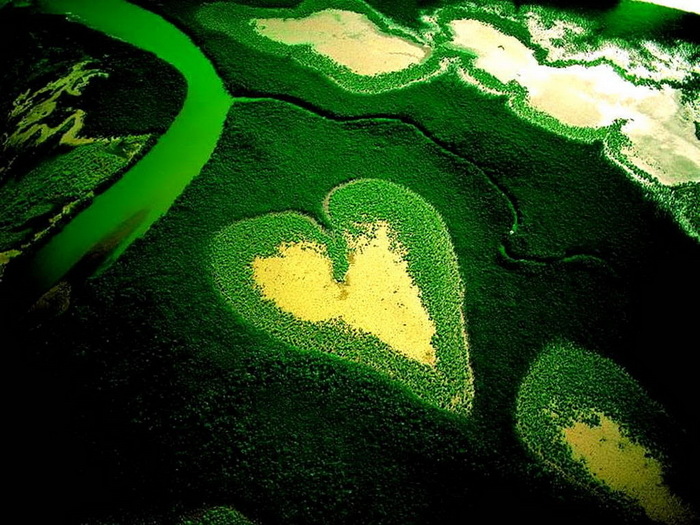 tinh - Trái Tim Tình Yêu-Valentine Nature-heart18