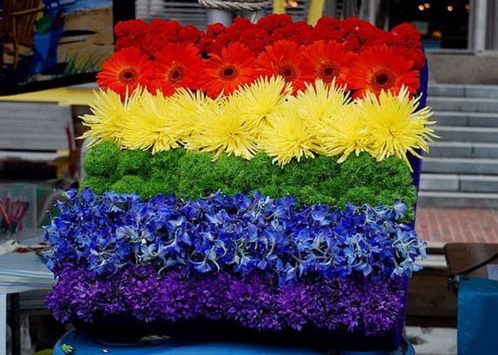 Sắc màu Rainbow-color12