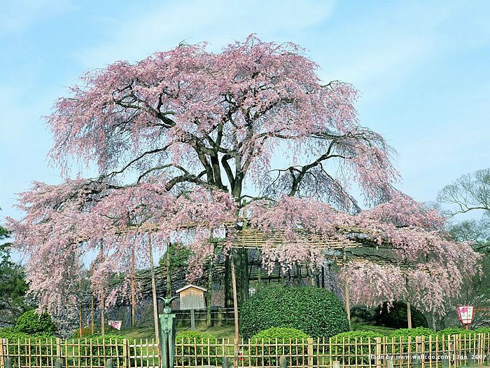 Cuộc Sống Tuyệt Vời Season-change05