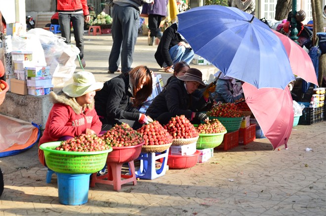 Đà Lạt kí ức về một mùa lạnh Duyentinh-7