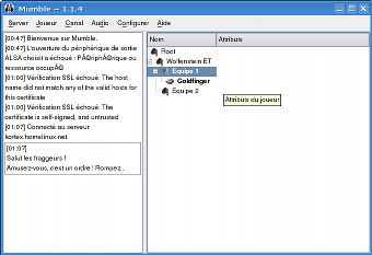 Installation et mise en route Mumble-connect2