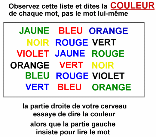 A quoi Pensez Vous à cet instant ? - Page 2 Neurones