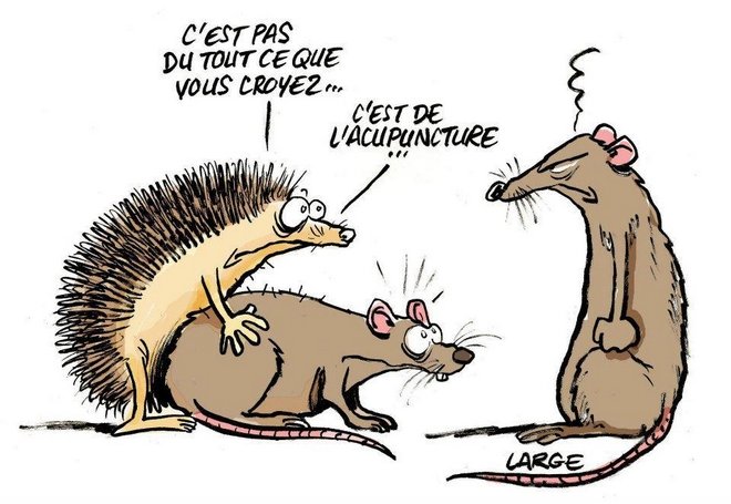 Les blagues en images - Page 17 Blague