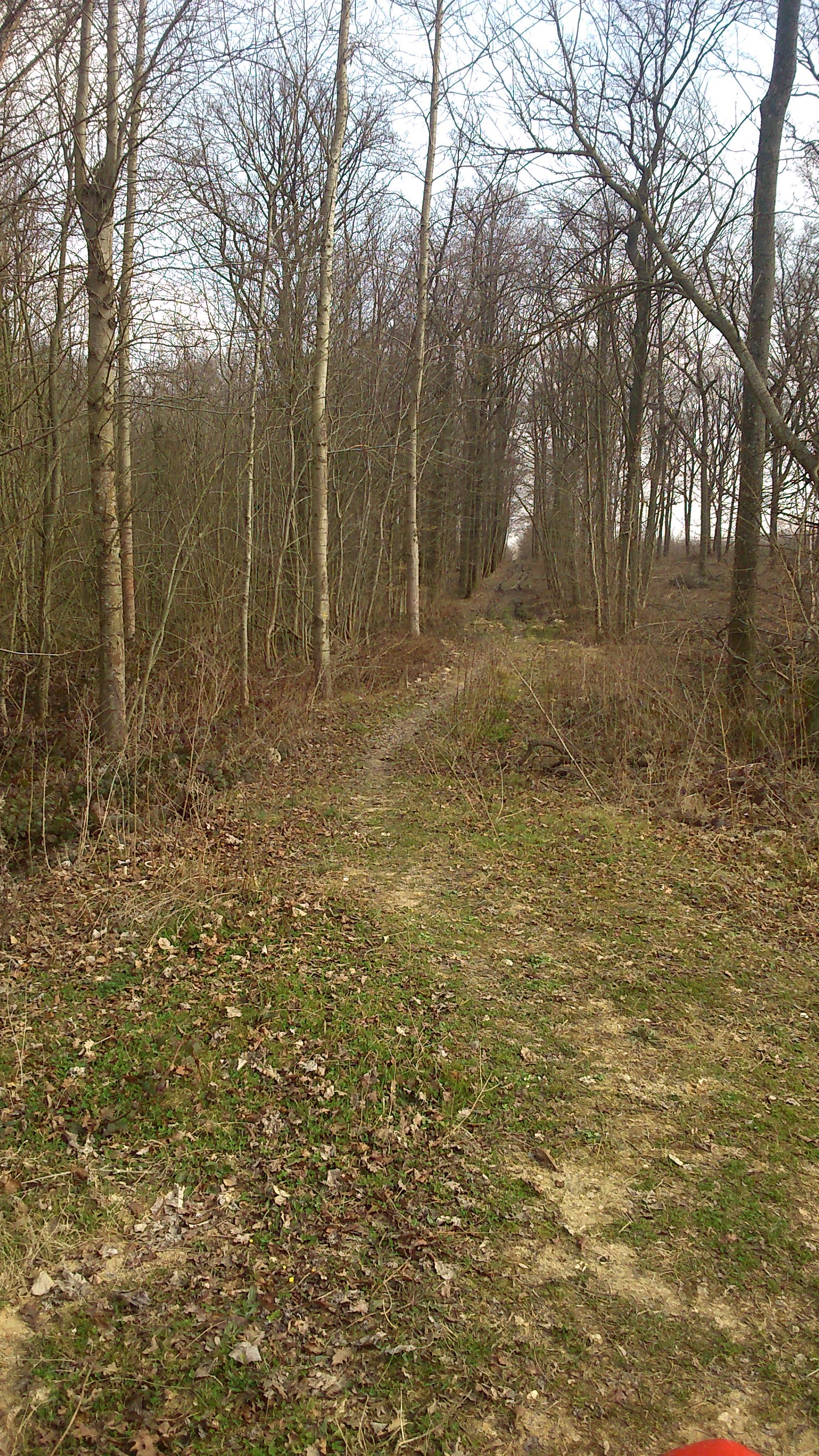 1ere Ballade sur les chemins près de chez moi DSC_0295