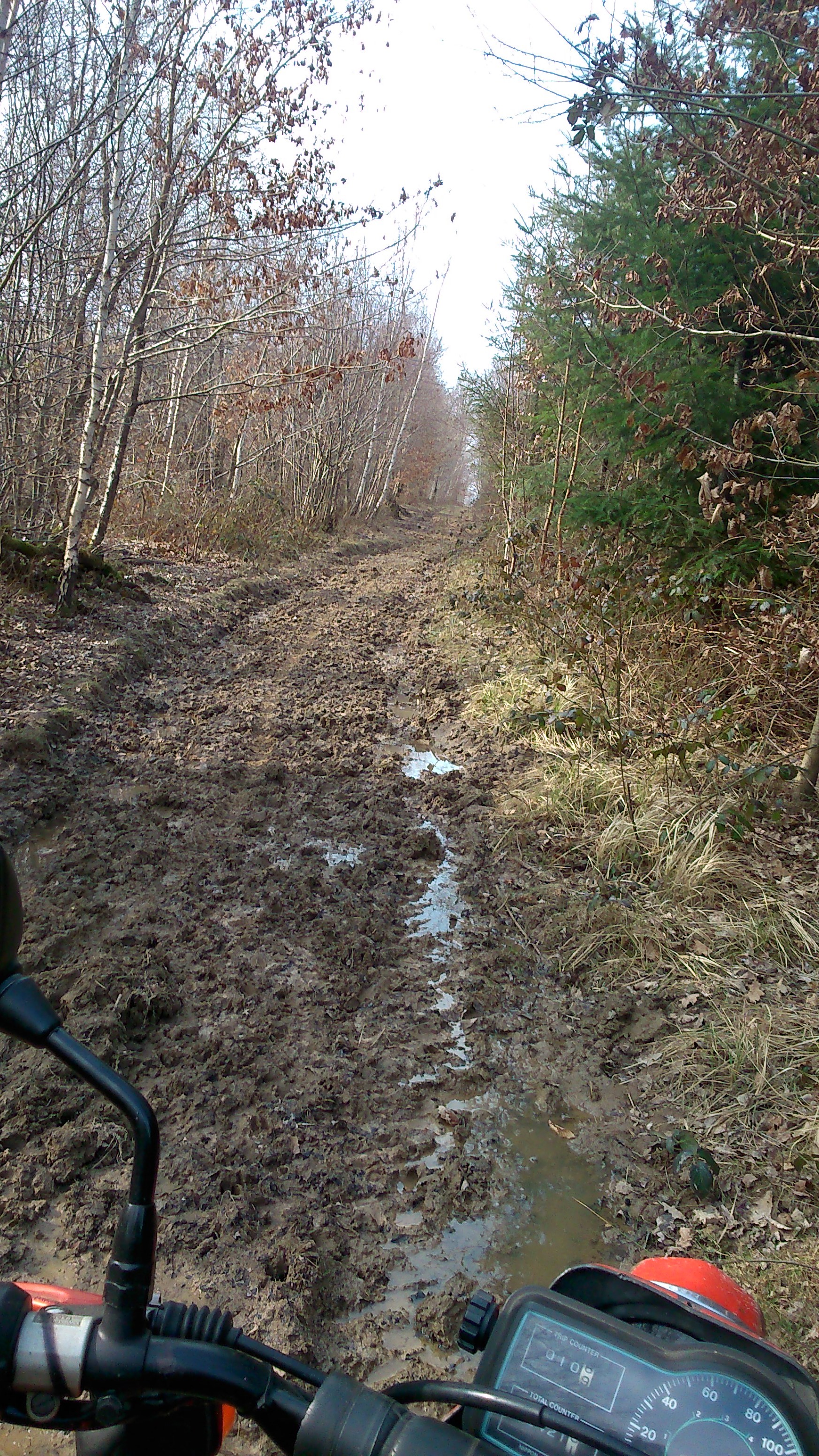 1ere Ballade sur les chemins près de chez moi DSC_0305