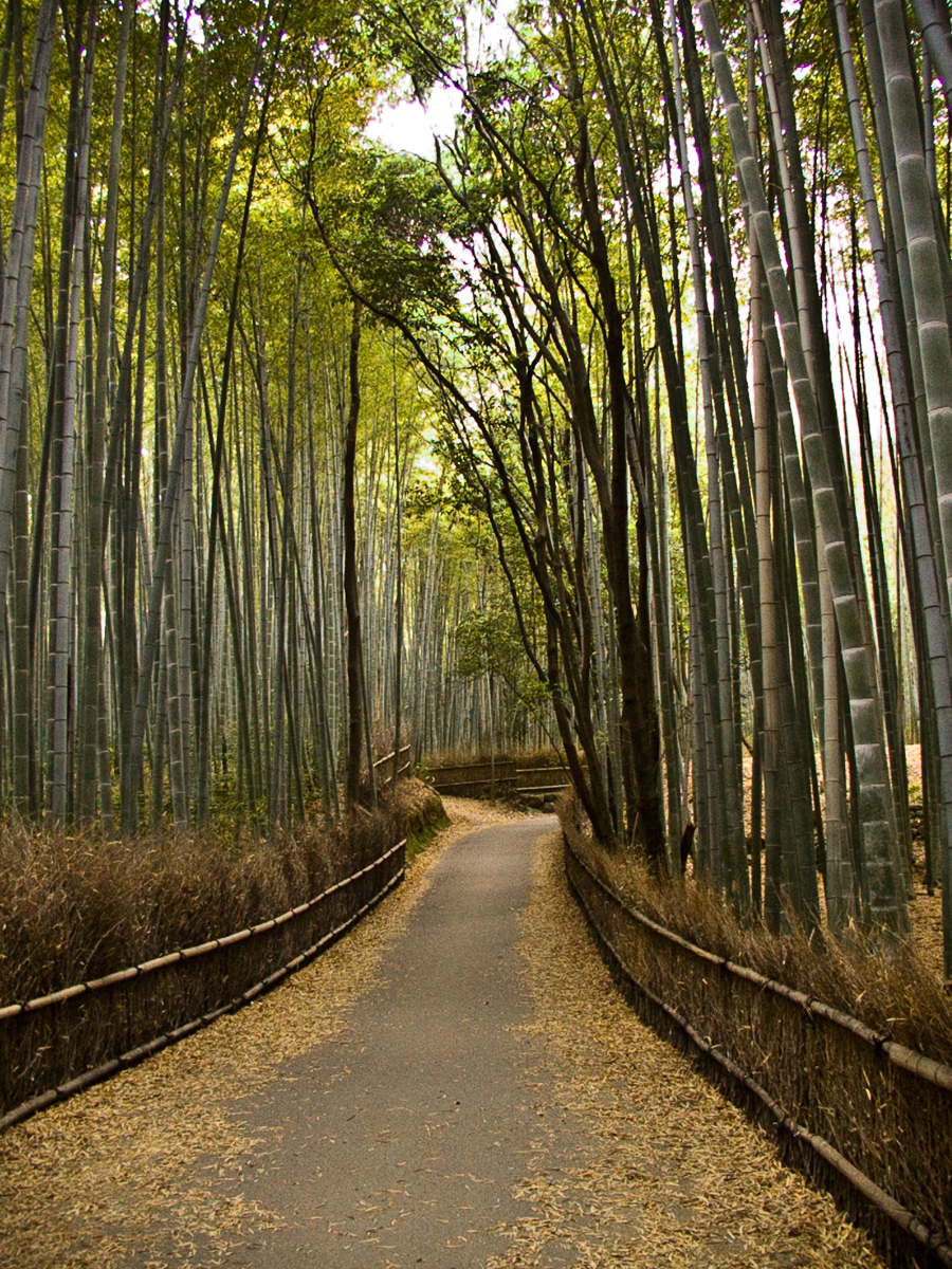 Kyoto 04-Kyoto_-_ArashiYama