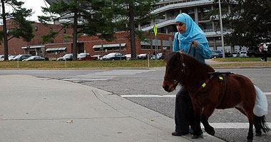 بالولايات المتحدة.طالبة مسلمه كفيفة تصطحب حصانها الصغير للفصل الدراسى بالجامعة Smal11201015181924