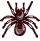 Arachnids T98487