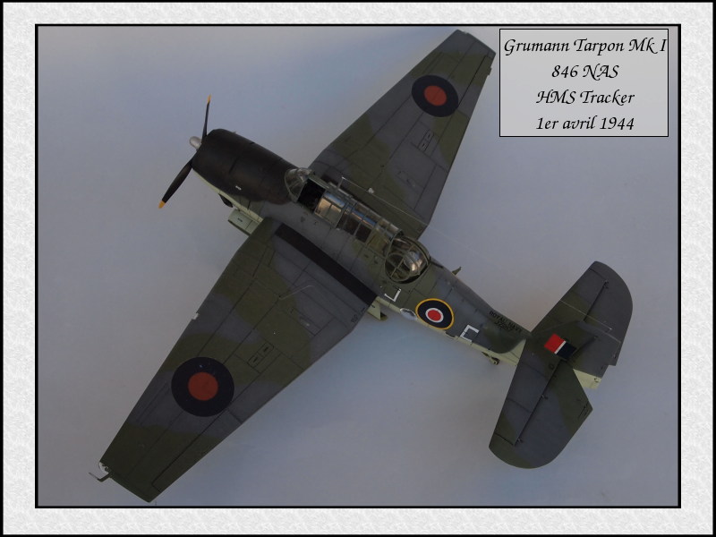 Grumman Tarpon Mk I 846 NAS [Italeri 1/48] Mon35