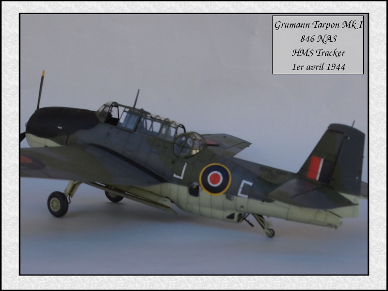 Grumman Tarpon Mk I 846 NAS [Italeri 1/48] Mon36