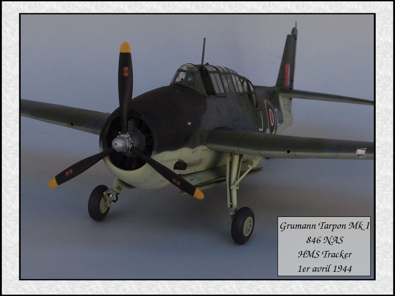 Grumman Tarpon Mk I 846 NAS [Italeri 1/48] Mon37