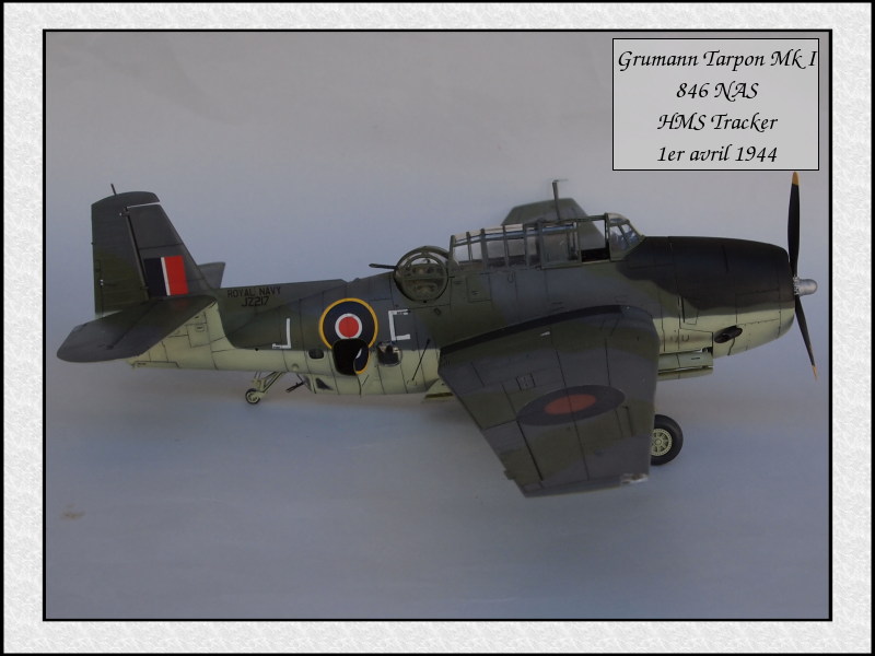 Grumman Tarpon Mk I 846 NAS [Italeri 1/48] Mon38