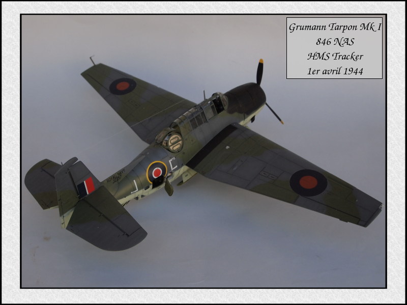 Grumman Tarpon Mk I [Italeri/Accurate Miniatures ] 1/48 Mon39