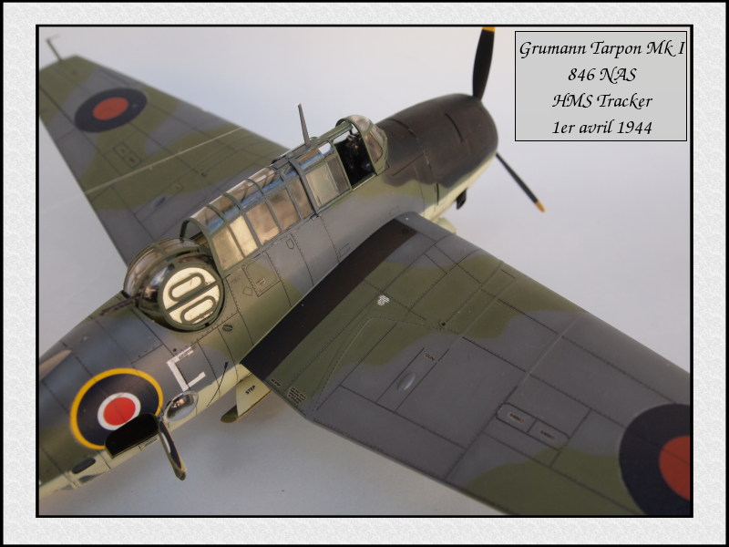 Grumman Tarpon Mk I 846 NAS [Italeri 1/48] Mon40