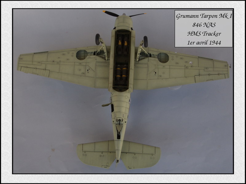 Grumman Tarpon Mk I 846 NAS [Italeri 1/48] Mon41