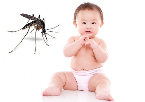 Triệu chứng bệnh sốt xuất huyết có nguy hiểm nhu nhiều người nghĩ? Sot-xuat-huyet-dengue-o-tre-em-1