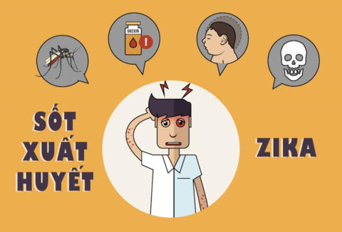 Cách phân biệt sốt xuất huyết và zika nhanh chóng nhất Sot-xuat-huyet-va-zika