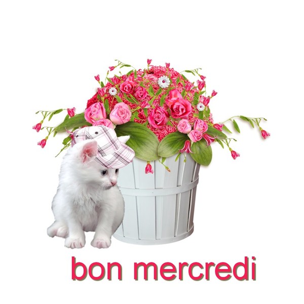 Ƹ̵̡Ӝ̵̨̄Ʒ ♥ Bonjour...Bonsoir...Quoi de neuf??? ♥ Ƹ̵̡Ӝ̵̨̄Ʒ . - Page 8 07a63d37