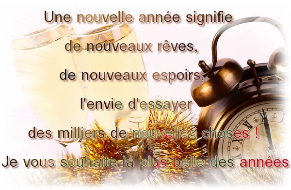 Bonne et heureuse année 2016  56d52c3b