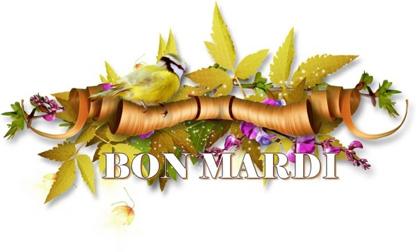 bonjour du mardi 18 71b0006c